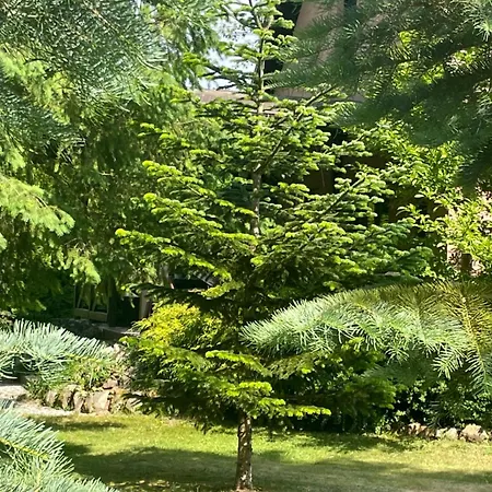 別荘 Mysliborka ノベ・バルプノ