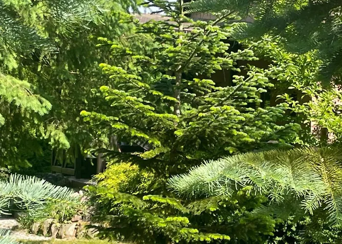 Dom wakacyjny Myśliborka Nowe Warpno