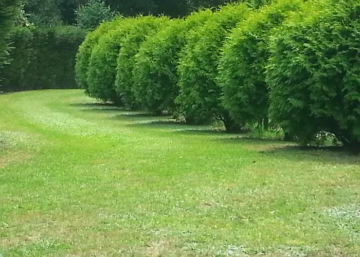 Myśliborka Dom wakacyjny